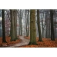 thumbnail image 3 of Podt, Martin 24x17 Black Modern Framed Museum Art Print Titled - Autumn Path, 3 of 5