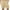 Khaki, variant on Qiggri Men's Shorts Casual Solid Color Casual Drawstring Pockets Elastic Sports Shorts Clearance