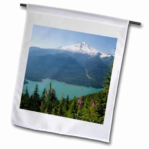 3dRose, WA, Mount Baker Snoqualmie NF, Fireweed, Baker Lake - US48 TDR0578 - Trish Drury, 12 x 18 inch Garden Flag