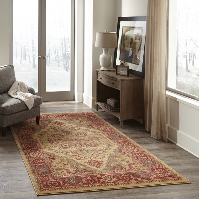 ECARPET Lux Traditional Area Rug for Living Room, Bedroom, Dining Room, Entrance, Hallway and More.