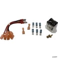 thumbnail image 1 of Raypak 008784F Relais 24Vac DPDT sans kit, 1 of 1