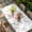 White, variant on Pink Flamingo Table Cloths for 5 Foot Rectangle Tables, Tropical Botanical Summer Flower Rustic Patio Waterproof Elastic Fitted Tablecloths, Washable Rectangular Table Cover for Camping