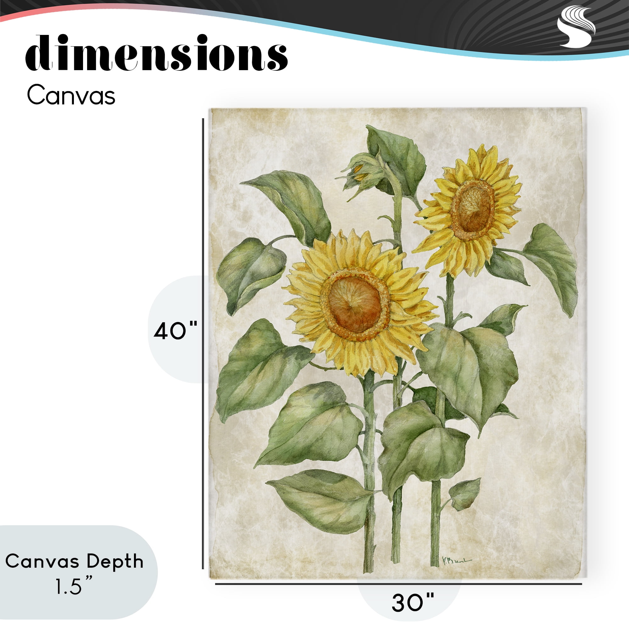 Stupell Industries Floral Journal Vintage Sunflower Canvas Wall Art, design by Paul Brent