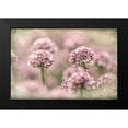 thumbnail image 2 of Mahan, Kathy 14x11 Black Modern Framed Museum Art Print Titled - Sea Thrift I, 2 of 5