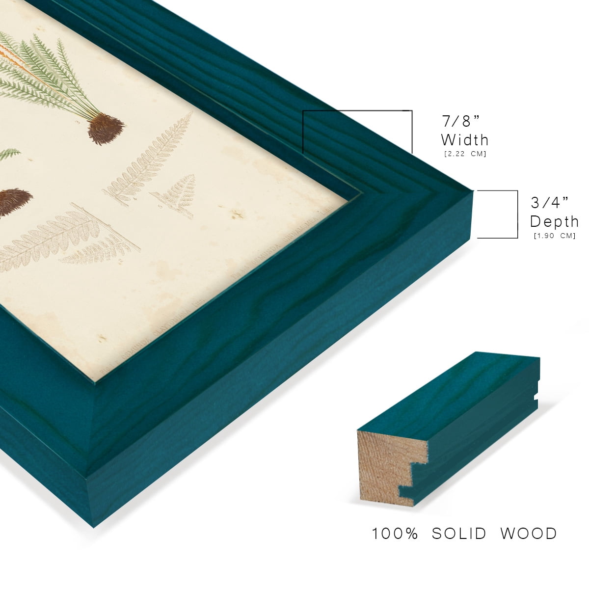 Fern Study III -Framed Print w/glass-Ocean Blue
