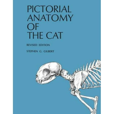 Pre-Owned Pictorial Anatomy of the Cat (Paperback) 9780295954547