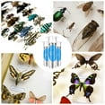 WSTEER 300 Pcs Stainless Steel Insect Pins Specimen Pinning Collection