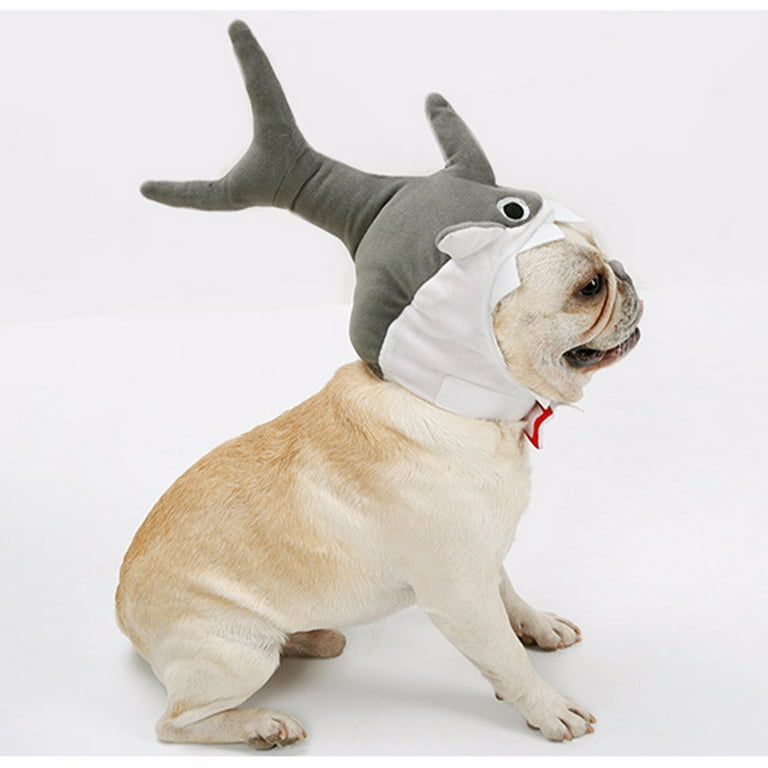 Dog top shark hat
