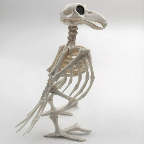 Crazy Bone Skeleton Raven Plastic Animal Skeleton Bones Horror Halloween Party Prop Decoration Bird Crow Skeleton Decoration