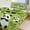 chudan-1, variant on Duvet Cover Queen Size Cute Panda 3 Pcs Duvet Cover Set Bedding Sets Queen Soft Breathable