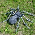 thumbnail image 4 of Joyfy 45inch Giant Spider Halloween Decorations,Scary Spider Halloween Outdoor Party Decorations Props Halloween Yard Decorations,Black, 4 of 7