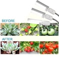 thumbnail image 3 of Led Grow Light Grow Lámpara para plantas de interior 30W Súper brillante 150 LED Irfora Tipo 2, 3 of 7