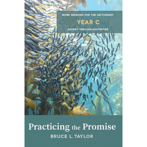 Practicing the Promise, (Hardcover)