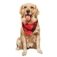 thumbnail image 5 of Naloa Strawberry Red Dog Bandanas 1PC Washable Triangle Dog Scarfs Premium Durable Fabric, for Small Medium Large Dogs and Cats, 5 of 6