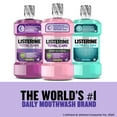 Listerine Total Care Zero AlcoholFree Mouthwash, Fresh Mint, 2 x 1 L