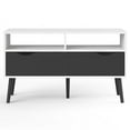 Diana 2 Drawer TV Stand; White/Black Matte