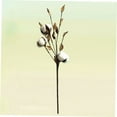 thumbnail image 4 of HEALEEP Dried Flowers Cotton 1Pack Multi Rustic Farmhouse Style Cotton Branches Friends Event, 4 of 4