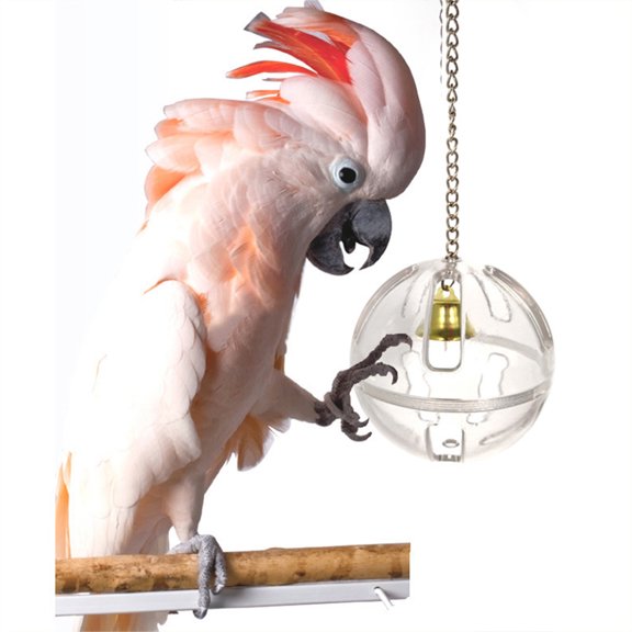 Walbest Hanging Clear Foraging Plastic Perforated Ball Unscrews, Put Bird Treats Inside, Bird Cage Medium to Large Bird Toy