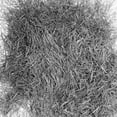 thumbnail image 2 of Polissoirs à bijoux en acier inoxydable, goupilles de finition, goupilles de polissage, gobelet magnétique (0,2 mm), 2 of 4