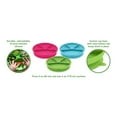 thumbnail image 3 of Green Sprouts Plaque d'Apprentissage avec Base de Ventouse - Aqua, 3 of 5