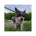 thumbnail image 5 of Dog Goggles Medium Breed, Dog Sunglasses for Medium Dogs Eye Protection Windproof, 5 of 5