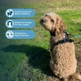 thumbnail image 3 of Voyager Dog Harness Dual Leash Attachment No-Pull Control Adjustable Soft by Strong Pet Harness for Medium and Large Dogs with 3M Reflective Technology with Leash Included - Black, S (Chest 22-27"), 3 of 8