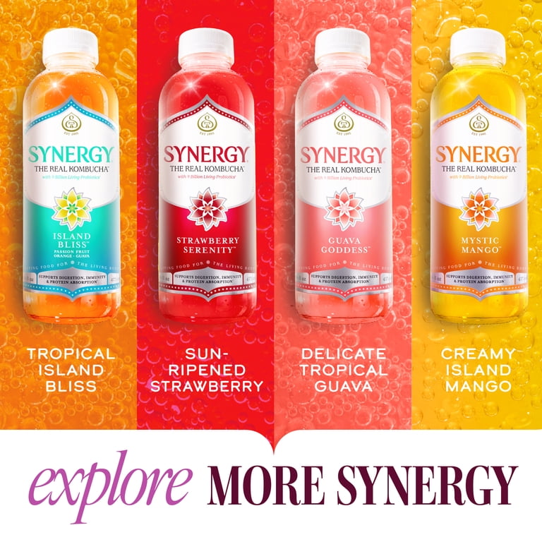 Synergy Peach Paradise Kombucha 16 fl oz - Walmart.com