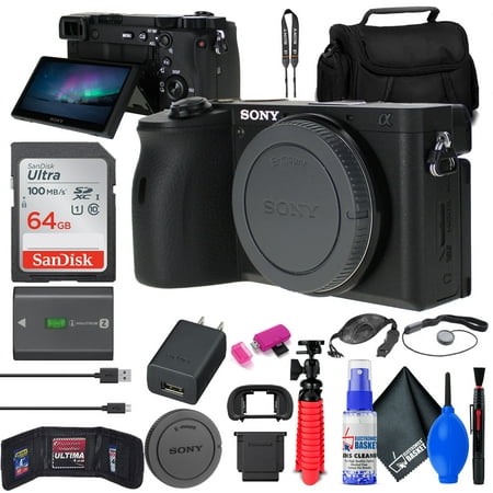 Sony a6600 Mirrorless Camera + 64GB Card + Card Reader + Case +