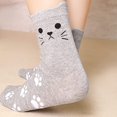 thumbnail image 3 of 5 Pairs/Pack Cute Mid Crew Socks  Kitty & Footprint Pattern Kawaii Mid Crew Sports Socks  Women‘s Socks, 3 of 6