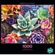 thumbnail image 1 of Buffalo Games - Simple Succulent - Rompecabezas de 1000 piezas Buffalo Games Buffalo Games, 1 of 2