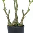 thumbnail image 6 of SAFAVIEH Faux Pieris Japonica 32" Potted Plant, Green, 6 of 7