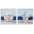 thumbnail image 5 of Stupell Industries Sea Life Starfish Seashell Painting Beach Marine Animal, 17 x 17, Design by Ethan Harper, 5 of 5