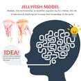 thumbnail image 3 of KAKOWELY 2pcs Jellyfish Model Simulated Marine Animals Model Kids Science Educational Props,5.12"X2.56"X2.56", 3 of 5