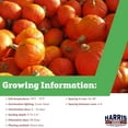 thumbnail image 5 of Harris Seeds Sunshine F1 Winter Squash (Kabocha Type), Sweet Orange Flesh, Treated, 25 Count, 5 of 7
