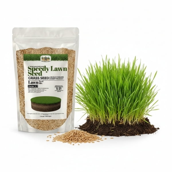 Old Cobblers Farm™ Wicked Tuff Turf Speedy Lawn Seed (5 lbs | 10 lbs | 15 lbs | 20 lbs) (15lbs)