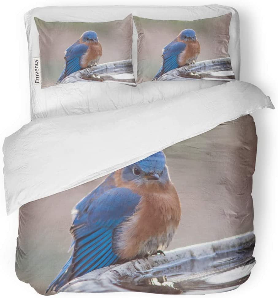 FMSHPON 3 Piece Bedding Set Blue Angry Male Bluebird Annoyed Look