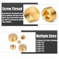 thumbnail image 2 of Male Internal Hex Thread Socket Pipe Plug Fitting Assortment Kit,C, 2 of 5