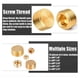 thumbnail image 2 of Male Internal Hex Thread Socket Pipe Plug Fitting Assortment Kit,C, 2 of 5