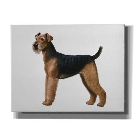 Epic Graffiti 'Airdale Terrier' by Harro Maass, Canvas Wall Art, 34"x26"