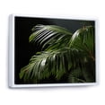 thumbnail image 2 of Designart "Palm Trees Euphony IV" Floral Floater Framed Canvas Wall Art, 2 of 7