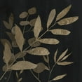 thumbnail image 2 of Nan 20x20 Black Ornate Wood Framed with Double Matting Museum Art Print Titled - Noir and Natural Leaves I, 2 of 4
