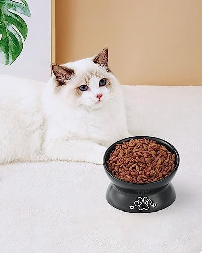 Elevated Cat Food Bowl, 5 Oz Ceramic Raised and Tilted Water Bowl, Anti Vomiting and Protect Pets' Spines Dishes for Small Dog, Fat Faced Cat, Kitten (Black Pattern, 1 Pack)