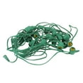 thumbnail image 1 of Vickerman Ensemble de Douilles de Fil Commercial E26 - 100 Pieds - Vert - Espacement de 24 Pouces, 1 of 2