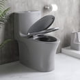 thumbnail image 7 of Dual-Flush One Piece Toilet,1.1/1.60 GPF Water-Saving Elongated Comfort Height Floor Mounted Toilet,Soft Closing Seat,LIGHT GREY, 7 of 7