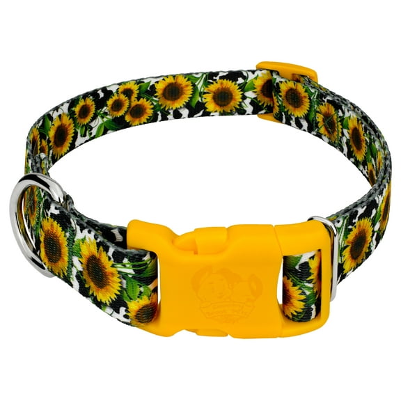 Country Brook Petz® Dairy Fields Everyday Dog Collar - Made in the U.S.A., Small
