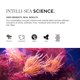thumbnail image 5 of Aceite capilar multivitamínico Vatika Naturals - Transforme su cabello con poder de limpieza fuerte y elixir revitalizante - Enriquecido por expertos con extracto de hibisco multivitamínico y aceites, 5 of 5