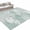Green, variant on Area Rugs 4'x6'. Tropical Leaves Carpet Runner Indoor Outdoor Rugs Home Decor Aesthetic, Light Green Monstera Palm Leaf Botanical Non Slip Mats Washable Accent Rug for Living Room Bedroom