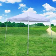 Ez up 10 x 10 canopy Ez up 10 x 10 canopy