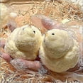 thumbnail image 2 of Chicken Squishy Toy, Handmade Taba Squishy Toys, Ultra Soft Chicken Shape Squeeze Toy, Fluffy Chicken Shaped Sensory Toy, Squishy Toys for Relieving S, 2 of 5