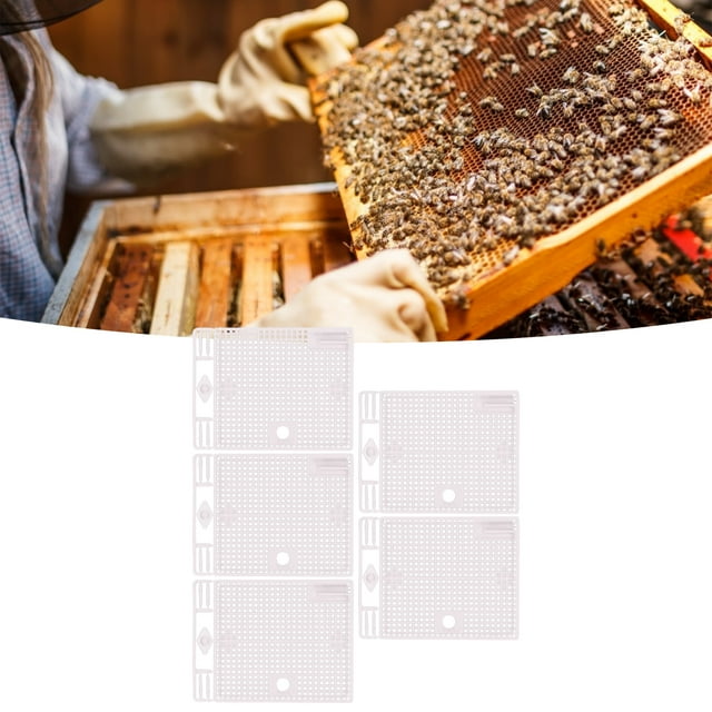 Exclusif en Plastique pour Reine, Cage à Abeilles Légère et Inoffensive pour Ruche pour Apiculture Jaune, Rouge, Bleu, Vert, Blanc